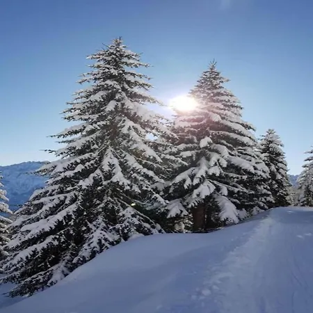 In Hinterbichl Near Bus