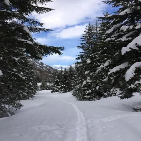 Lägenhet In Hinterbichl Near Bus *